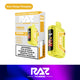 RAZ TN9000 Disposable Device – 9000 Puffs